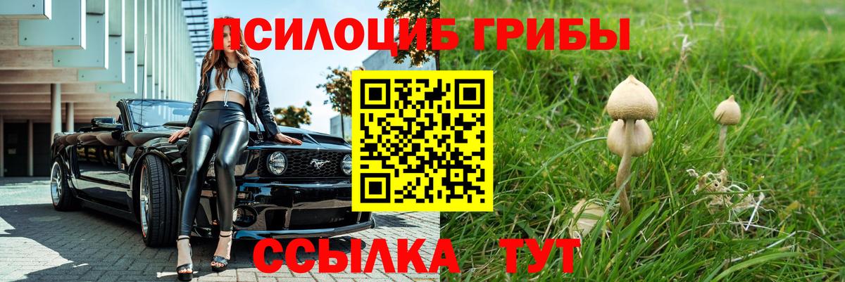 Галлюциногенные грибы Psilocybine cubensis  Вход с VPN  Холмск 